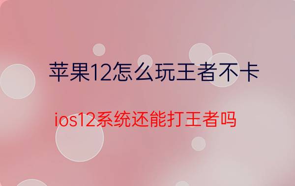 苹果12怎么玩王者不卡 ios12系统还能打王者吗？